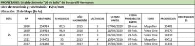 Lote Lote 25