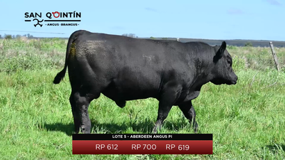 Lote LOTE 5 - ABERDEEN ANGUS PI