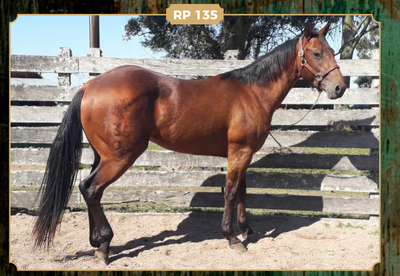 Lote EA RED POWDER SOLENA