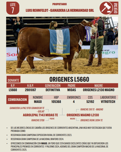 Lote LOTE 7