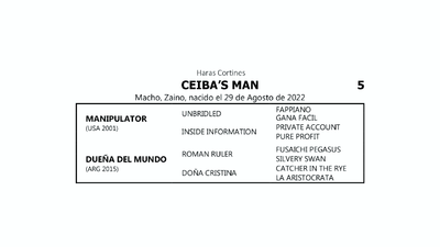 Lote CEIBA’S MAN (MANIPULATOR -  DUEÑA DEL MUNDO por  ROMAN RULER)