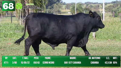 Lote LOTE 68