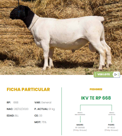 Lote LOTE 26