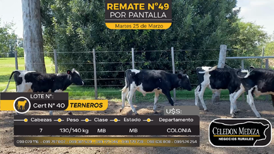 Lote 7 Terneros en Tarariras, Colonia