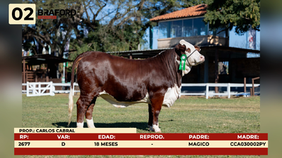 Lote LOTE 2
