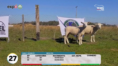 Lote LOTE 27