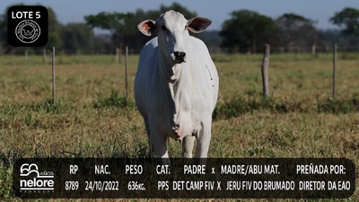 Lote LOTE 5