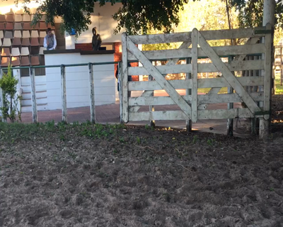 Lote 2 Toros en Esquina, Corrientes