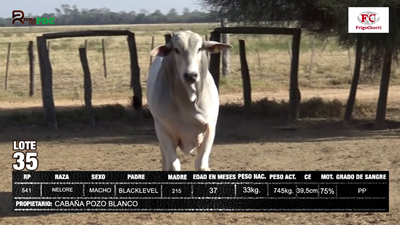 Lote CABAÑA POZO BLANCO