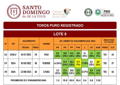 Lote TOROS PR (LOTES) - ( Incluye S/ )