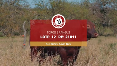 Lote RINCON IBERA 21011