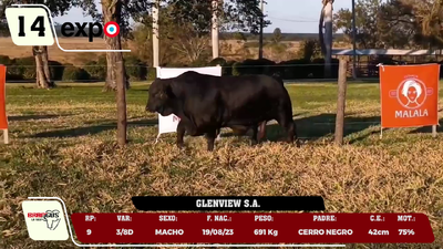 Lote LOTE 14