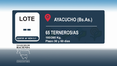 Lote 65 Terneros/as en Buenos Aires, Ayacucho
