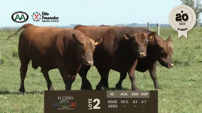 Lote 2 Toros, Artigas