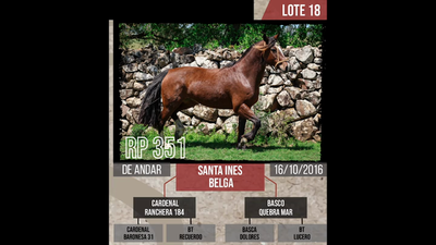 Lote Santa ines  BELGA