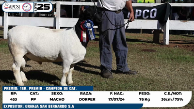 Lote LOTE 25
