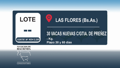 Lote 30 Vacas nuevas C/ gtia de preñez en Buenos Aires, Las Flores