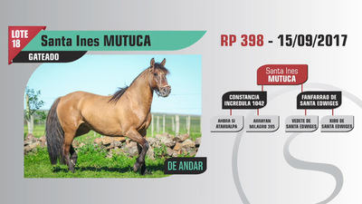 Lote Santa Ines MUTUCA