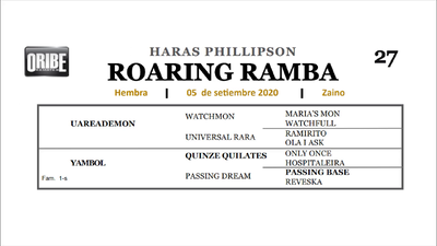 Lote ROARING RAMBA