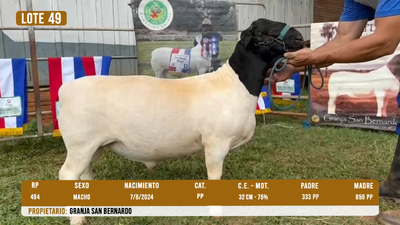 Lote LOTE 49