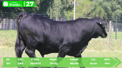 Lote LOTE 27