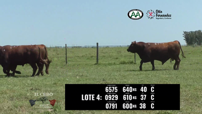 Lote 3 Toros, Artigas