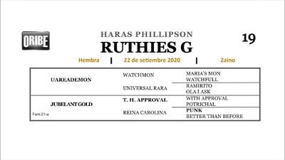 Lote RUTHIES G