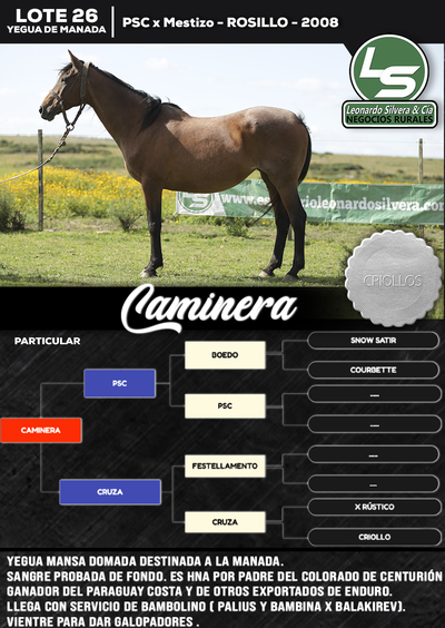 Lote CAMINERA