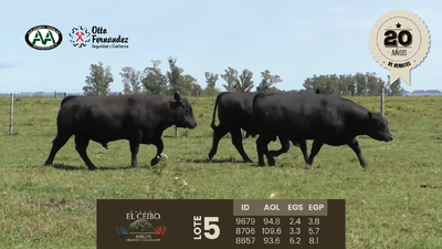 Lote 3 Toros, Artigas