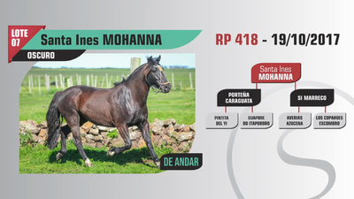 Lote Santa Ines MOHANNA