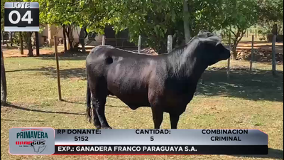 Lote LOTE 4
