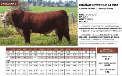 Lote CHAÑAR REVVED UP 24 3963  (GRUPO 1)