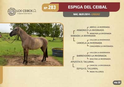Lote RP. 283 - ESPIGA DEL CEIBAL - LOS CEIBOS