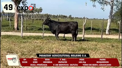 Lote LOTE 49