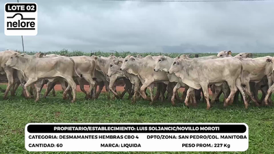 Lote LOTE 2
