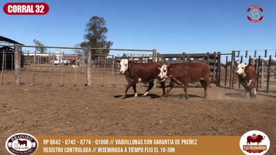 Lote CORRAL 32