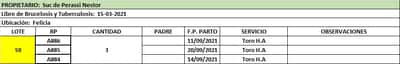 Lote Lote 59 Suc. de Perassi Nestor