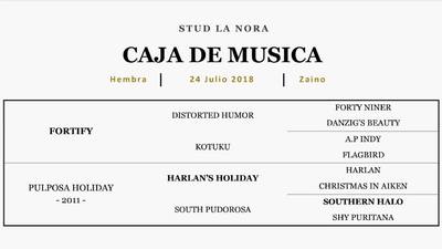 Lote CAJA DE MUSICA (FORTIFY - PULPOSA HOLIDAY)