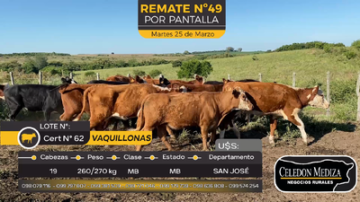 Lote 19 Vaquillonas  en Pantanaso, San José