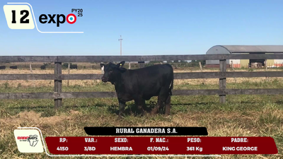 Lote LOTE 12
