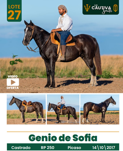 Lote LOTE 27