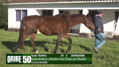 Lote Lote 50
