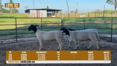 Lote LOTE 32 - DESTACADO