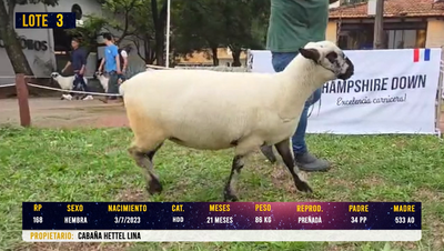 Lote LOTE 3