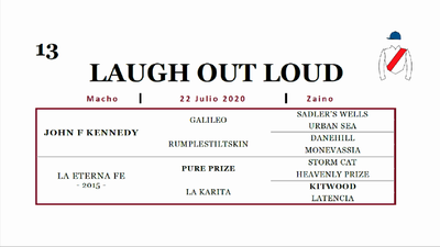 Lote LAUGH OUT LOUD (JOHN F KENNEDY - LA ETERNA FE)