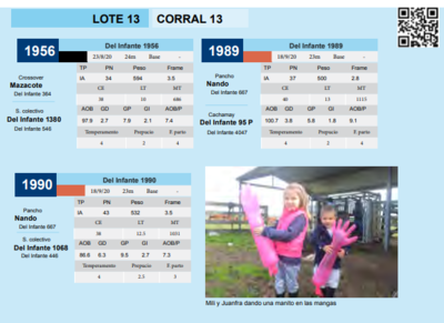Lote CORRAL 13