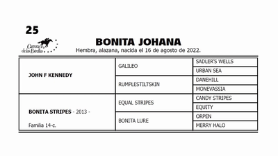 Lote BONITA JOHANA (JOHN F KENNEDY -  BONITA STRIPES por  EQUAL STRIPES)