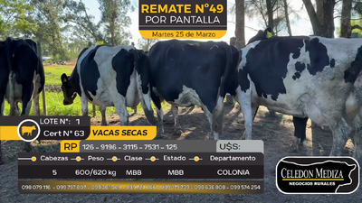 Lote 5 Vacas secas en Estanzuela, Colonia