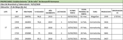 Lote Lote 17