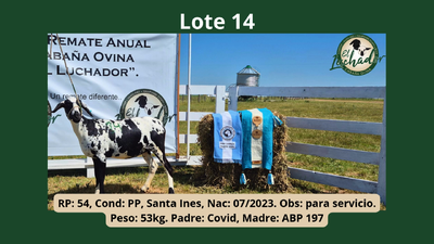 Lote PP